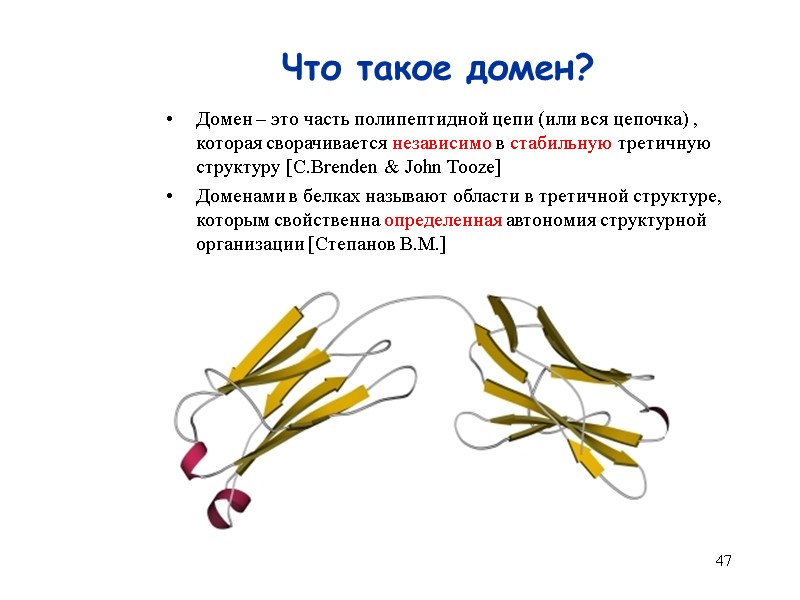 47 Что такое домен? Домен – это часть полипептидной цепи (или вся цепочка) ,